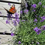 Przystan Nad Listepka Nowoczesna Stodola Z Widokiem Na Tatry, Gorce I Pieniny 木屋