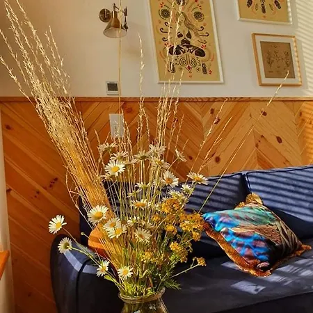 Przystan Nad Listepka Nowoczesna Stodola Z Widokiem Na Tatry, Gorce I Pieniny シャレー ウォプシュナ