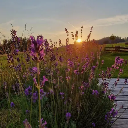 シャレー Przystan Nad Listepka Nowoczesna Stodola Z Widokiem Na Tatry, Gorce I Pieniny *